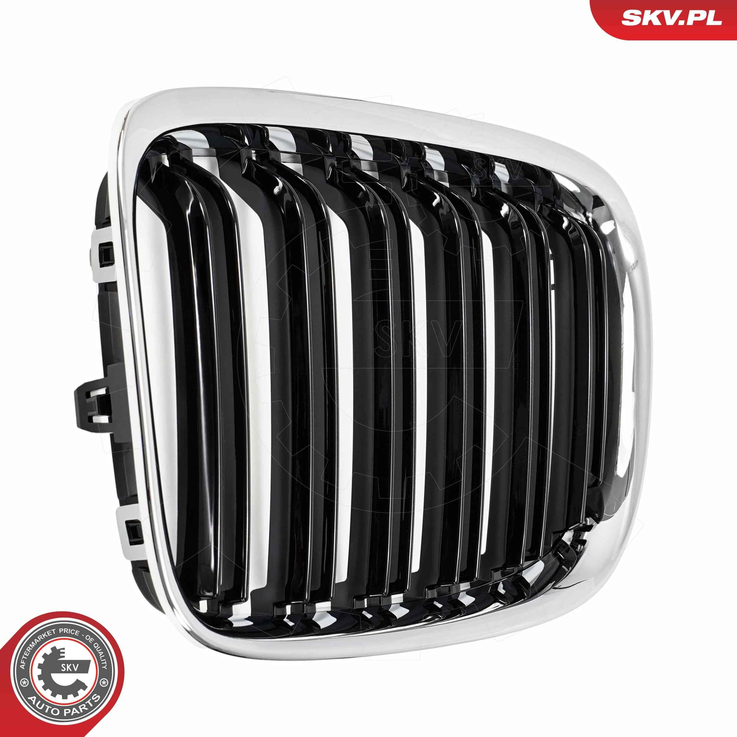 Rejilla delantera BMW X1 SUV (E84) (2009 - 2015) precio, desde 71,15 EUR